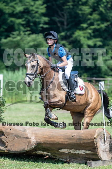 Goldene Schärpe 2021 - Ponys