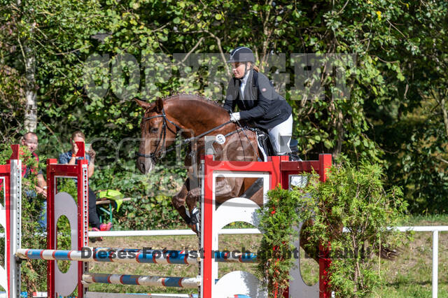 RFV Dinslaken-Hiesfeld (Herbstturnier)