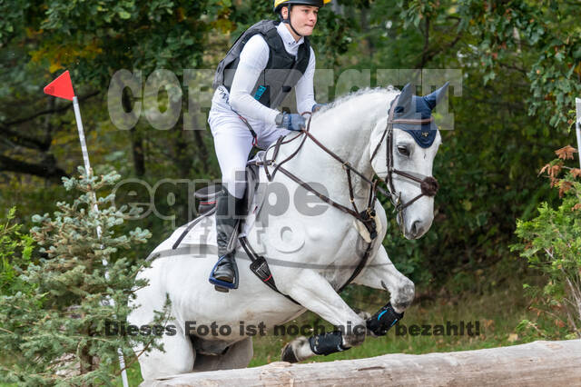 Goldene Schärpe 2020 - Pferde