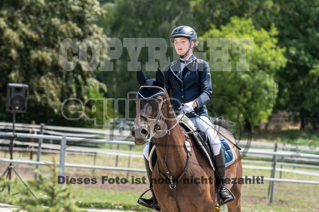 Late-Entry-Vielseitigkeit Langenfeld (06.+07.07.2020)