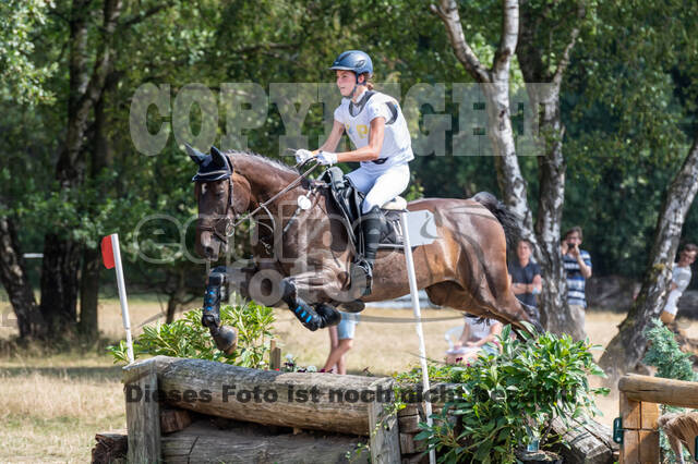 Late-Entry Vielseitigkeit Hamminkeln/Wesel (01.+02.08.2020)