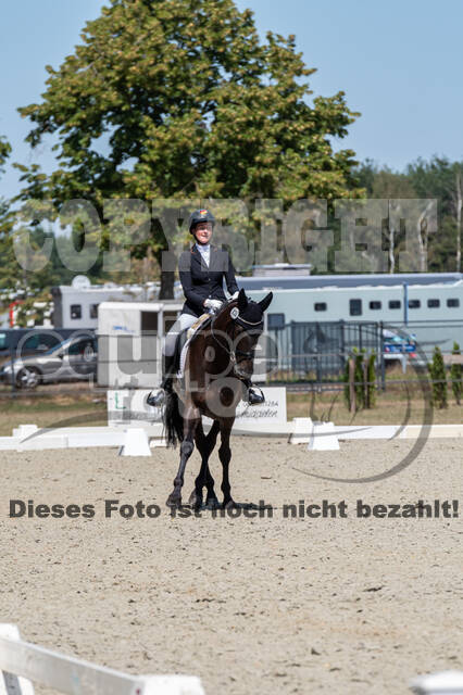 Kronenberg - De Peelbergen (August 2020)