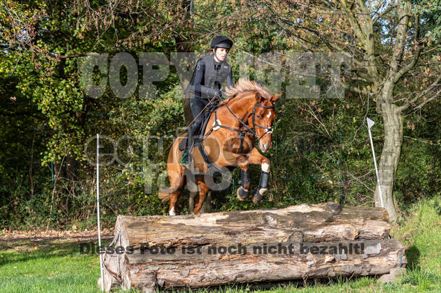 IGV Lehrgang der Sieger der Cups mit Frank Ostholt