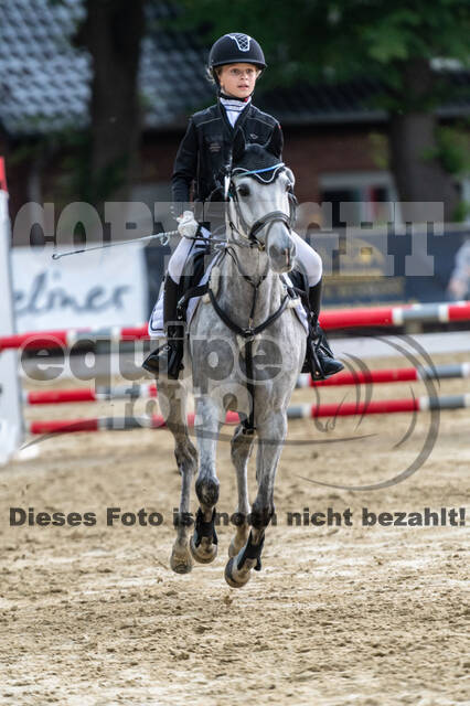 Goldene Schärpe 2021 - Ponys
