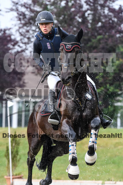 Late-Entry-Vielseitigkeit Langenfeld (11.+13./14.06.2020)