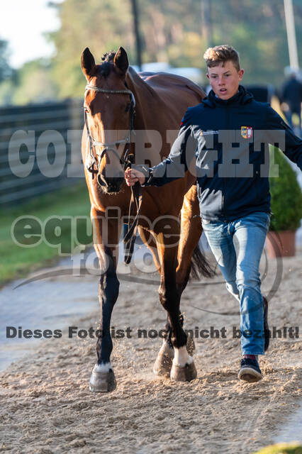 Deutsche Meisterschaft Vielseitigkeit (Luhmühlen)