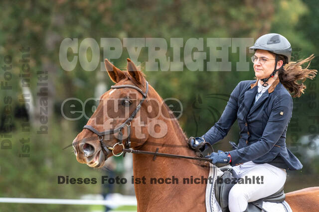 Vielseitigkeit RSV Wesel Obrighoven (26.+27.09.2020)