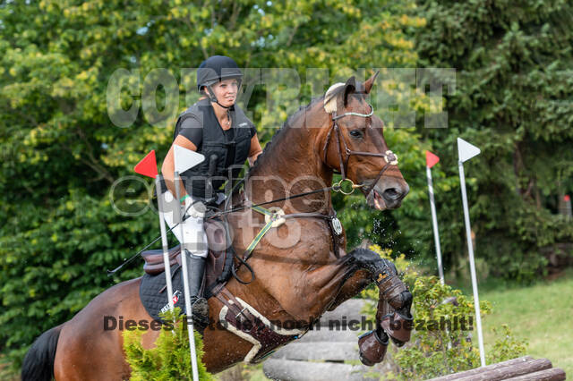 Late-Entry-Vielseitigkeit Langenfeld (11.+13./14.06.2020)