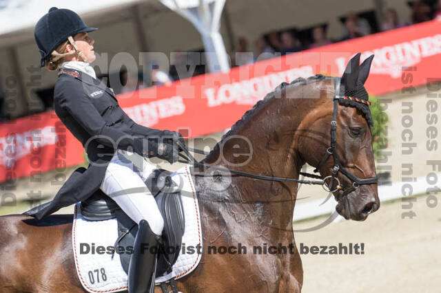FEI European Championship Eventing 2017