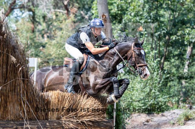 De Peelbergen (August 2020)