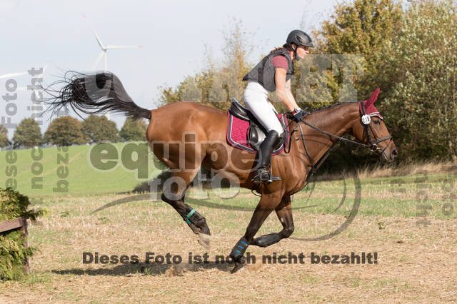 IGV Kleve