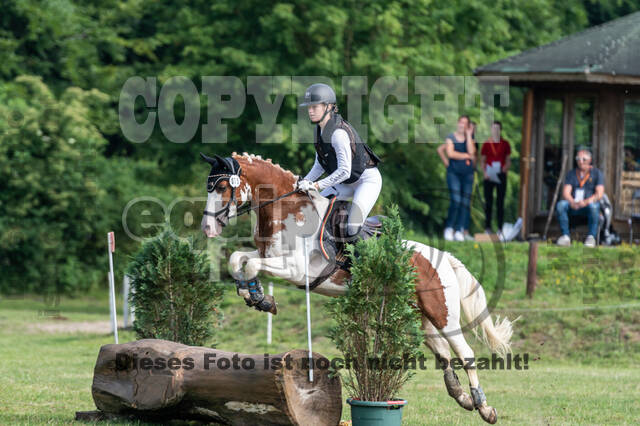 Goldene Schärpe 2021 - Ponys