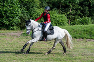 Goldene Schärpe 2021 - Ponys