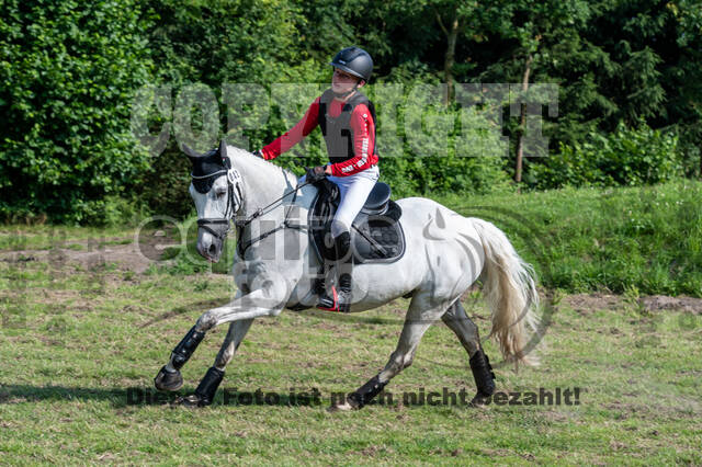 Goldene Schärpe 2021 - Ponys