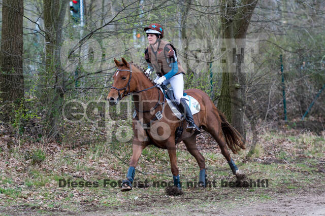 Eventing im Pferdesportzentrum Rheinland (Late Entry 14.03.2022)