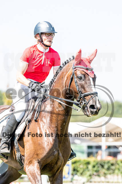 Kronenberg - De Peelbergen (August 2020)