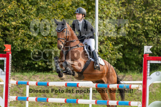 RFV Dinslaken-Hiesfeld (Herbstturnier)