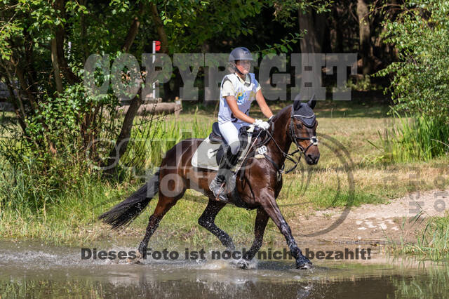 Late-Entry Vielseitigkeit Hamminkeln/Wesel (01.+02.08.2020)