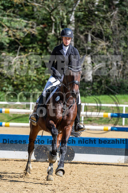 RFV Dinslaken-Hiesfeld (Herbstturnier)