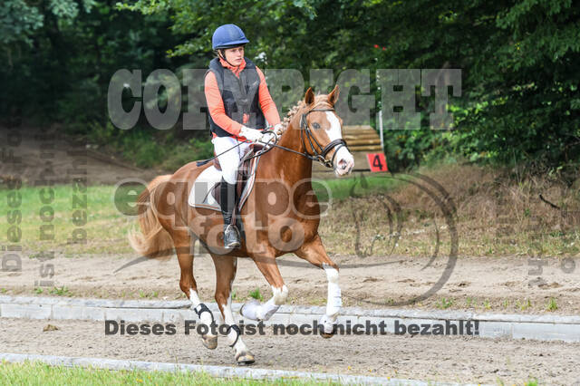 Late-Entry-Vielseitigkeit Langenfeld (11.+13./14.06.2020)