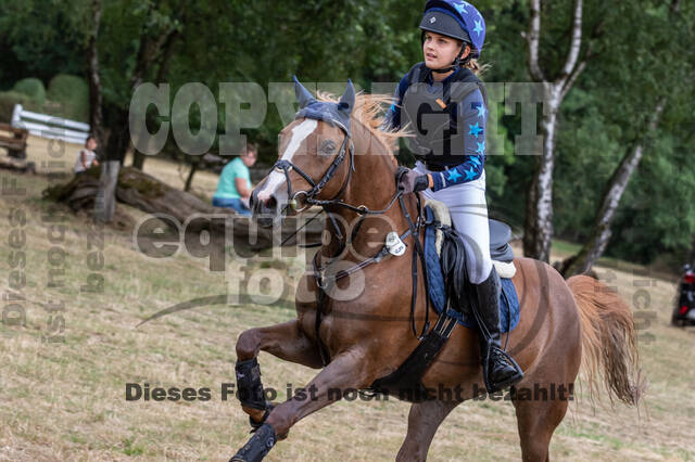 Late-Entry Vielseitigkeit Hamminkeln/Wesel (01.+02.08.2020)