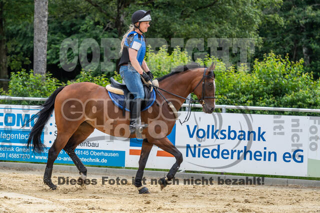 Hunter Geländetraining 10.07.2021 (Sonsbeck)
