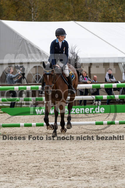 Deutsche Meisterschaft Vielseitigkeit (Luhmühlen)
