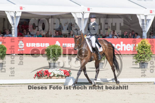 FEI European Championship Eventing 2017