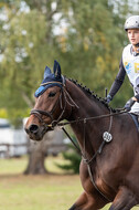 Vielseitigkeit RSV Wesel Obrighoven (26.+27.09.2020)