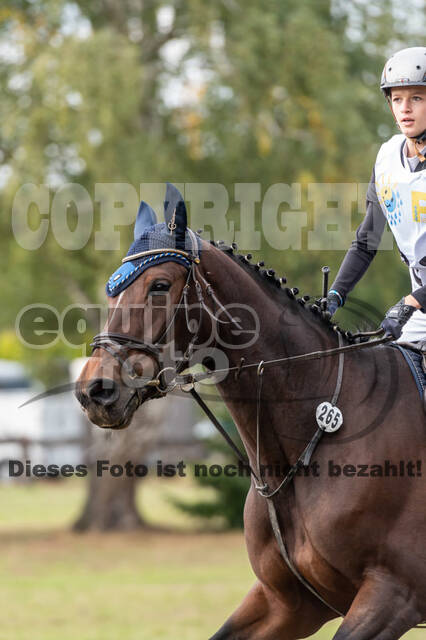 Vielseitigkeit RSV Wesel Obrighoven (26.+27.09.2020)