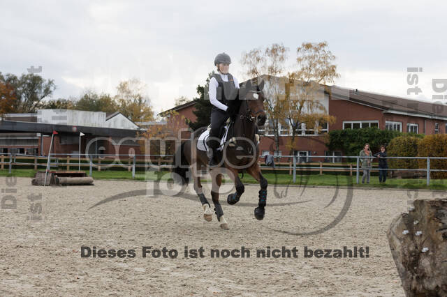 IGV Lehrgang der Sieger der Cups mit Frank Ostholt
