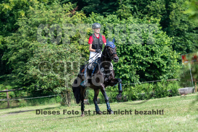 Goldene Schärpe 2021 - Ponys