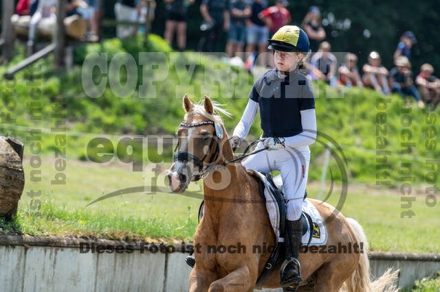 Goldene Schärpe 2021 - Ponys