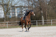 Trainingsturnier Langenfeld (12.+13.03.2022)
