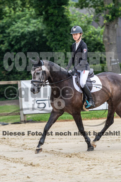 Goldene Schärpe 2021 - Ponys