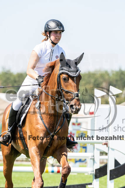 Kronenberg - De Peelbergen (August 2020)