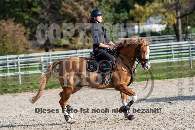 IGV Lehrgang der Sieger der Cups mit Frank Ostholt