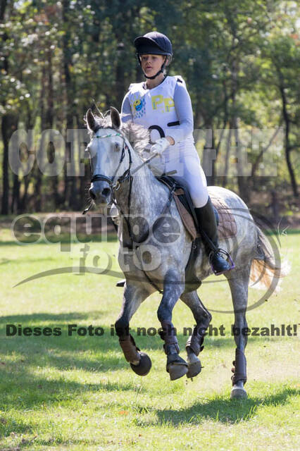 Vielseitigkeitsturnier RSV St. Hubertus Wesel Obrighoven