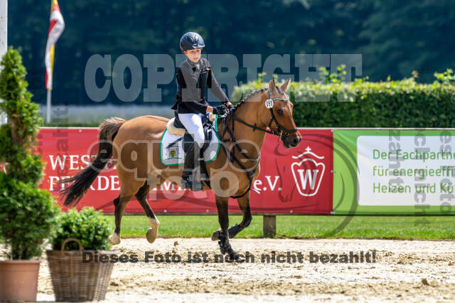 Goldene Schärpe 2021 - Ponys