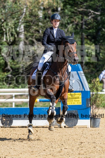 RFV Dinslaken-Hiesfeld (Herbstturnier)