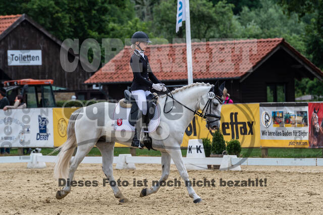 Goldene Schärpe 2021 - Ponys