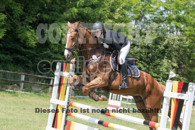 Vielseitigkeitsturnier ZRuFV von Lützow Hamminkeln