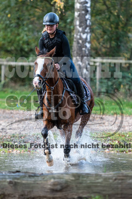IGV Lehrgang der Sieger der Cups mit Frank Ostholt