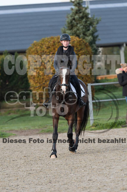 IGV Lehrgang der Sieger der Cups mit Frank Ostholt