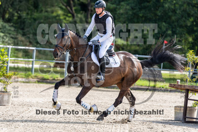 Late-Entry-Vielseitigkeit Langenfeld (11.+13./14.06.2020)