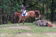 Late-Entry Vielseitigkeit Hamminkeln/Wesel (01.+02.08.2020)