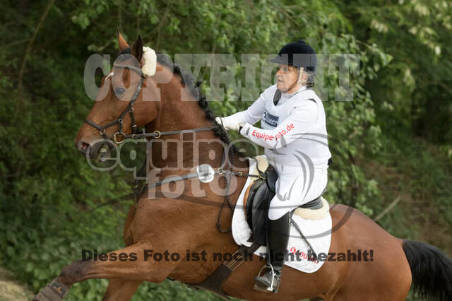 Vielseitigkeitsturnier ZRFV von Lützow Hamminkeln