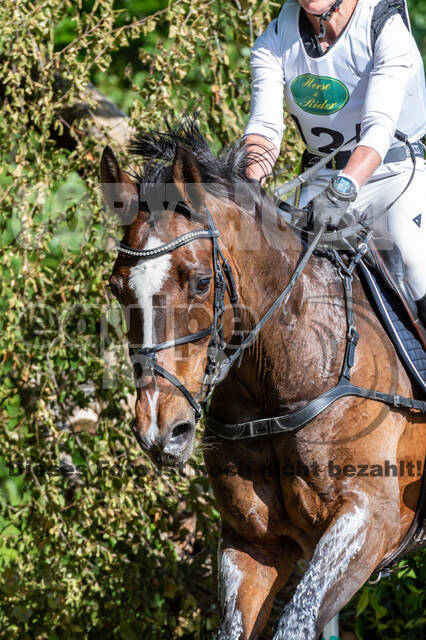 Westerstede Horse Trials 2021