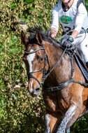 Westerstede Horse Trials 2021