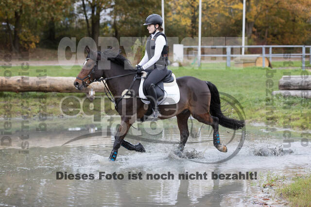 IGV Lehrgang der Sieger der Cups mit Frank Ostholt